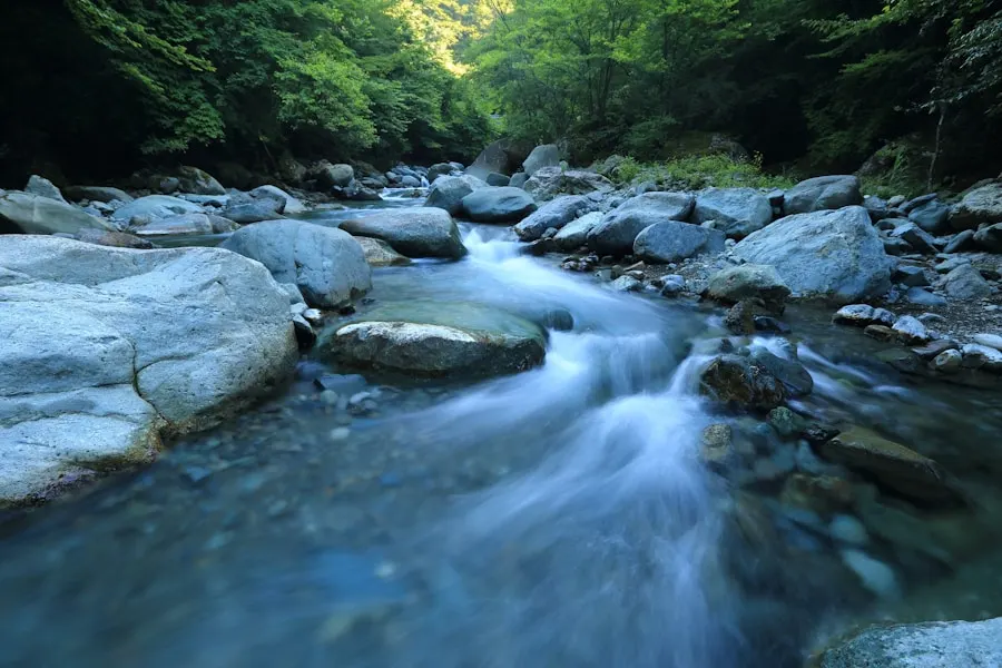 From Beginner to Pro: The Evolution of a Whitewater Adventurer